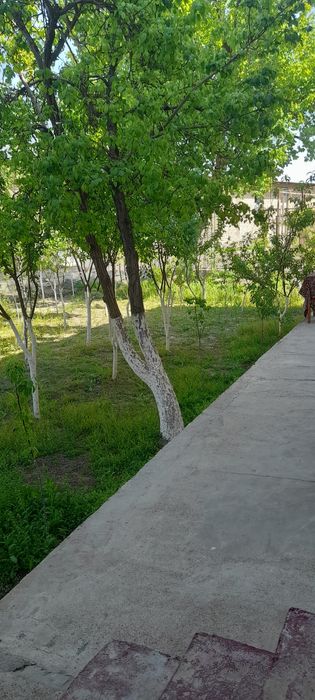 4 хонали ижараси 300 долла ижарар