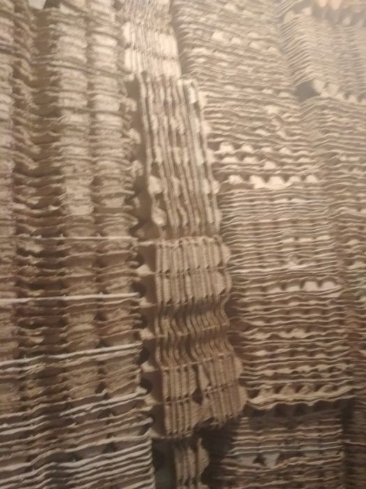 Каретки для яиц 10тг