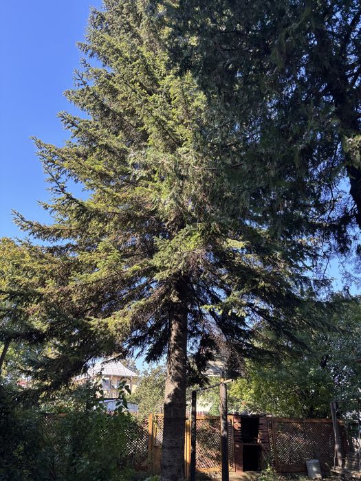 Teren 727 mp Galați - Poșta Veche - deschidere 13m, toate utilitățile