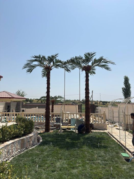 Андижонда сунний пальмалар