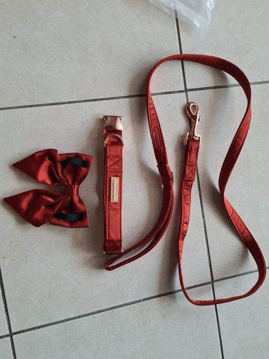 Lesa , zgarda si papion rosu caini