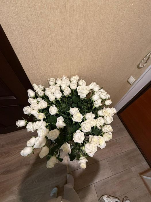 Продам цветок роза