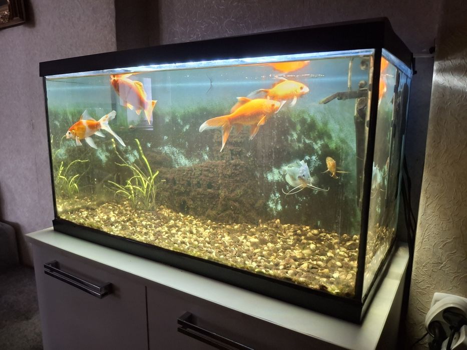 Аквариум 105 литров с рыбками