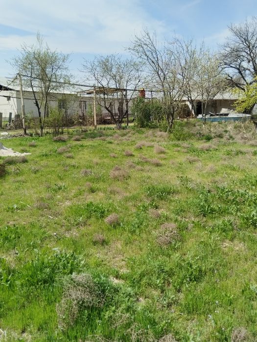 Продаётся дом с участком