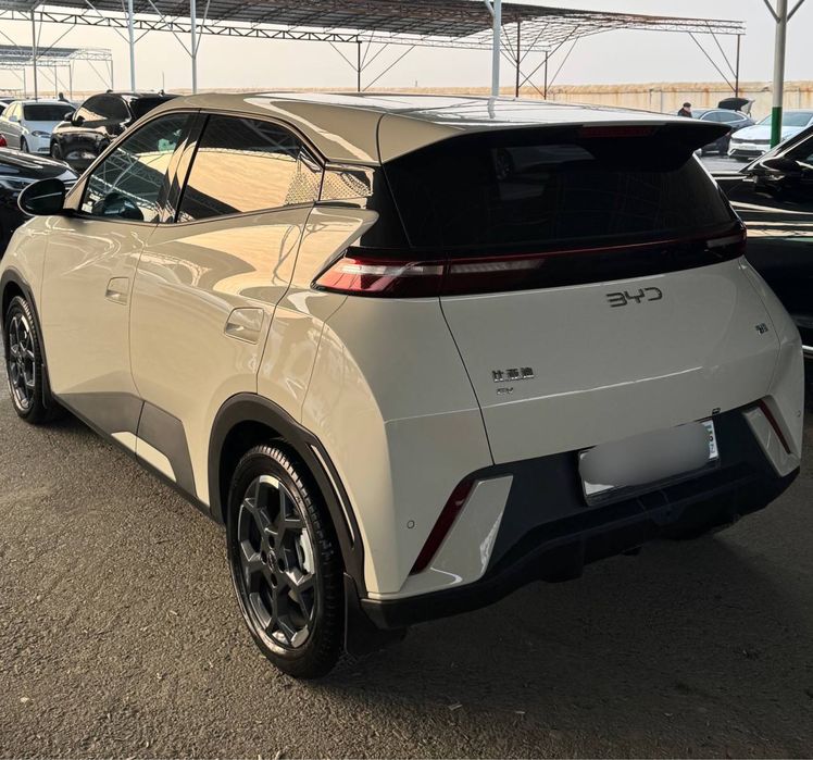 BYD Seagul 2025 Restayling