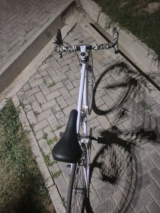 Синглспид призрак, фикс