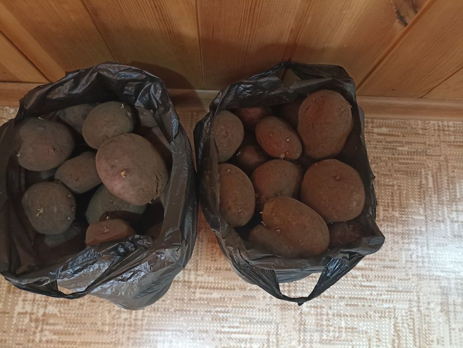 Продам картофель