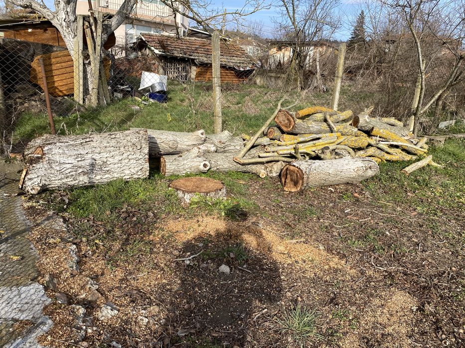 Дървен материал от орех на трупи