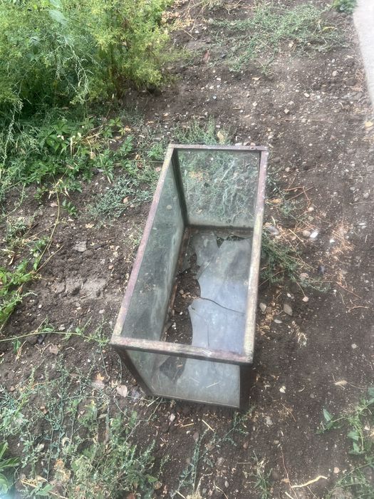 Аквариум советских времен.