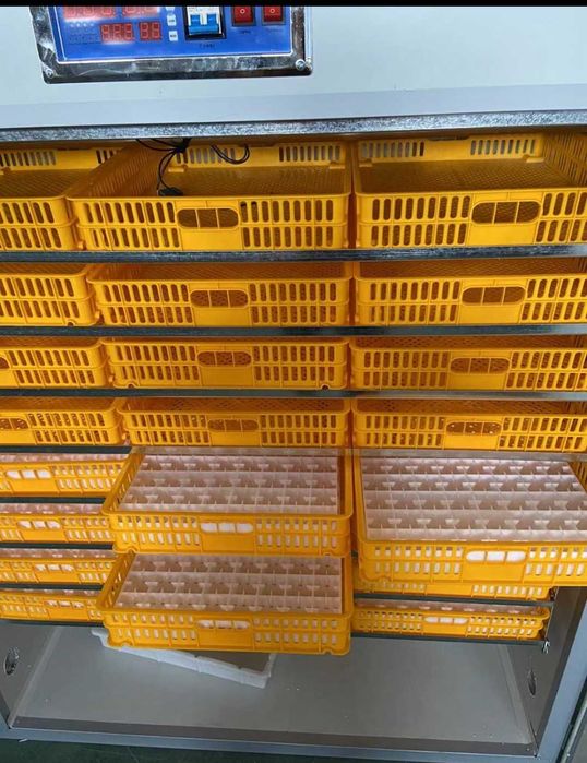 Үлкен инкубатор, автомат