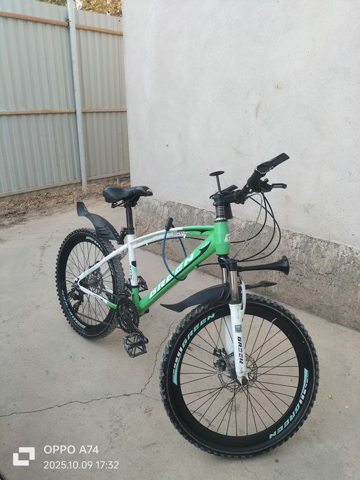 Осы велик сатылады