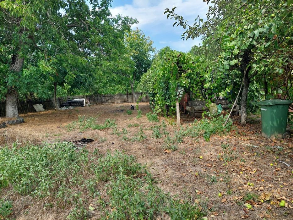 Vânzare teren cu casa batraneasca în  Merii Petchii, Ilfov