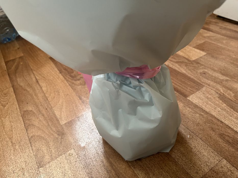 Продам красивые цветы