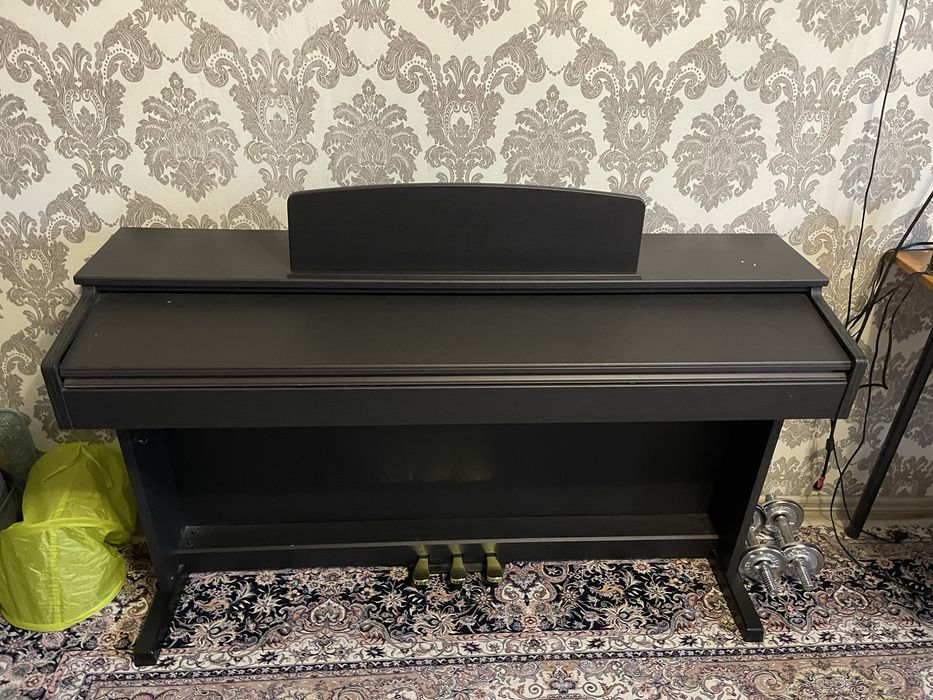 Пивнино цифравое