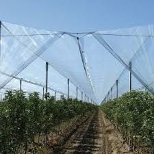 Plasa Protecție Împotriva Grindinei, 46gr/mp,Dublu Întărită,REZISTENTA