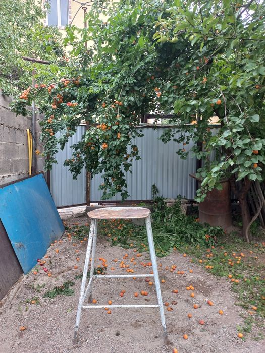 Продам подставку для сбора фруктов.