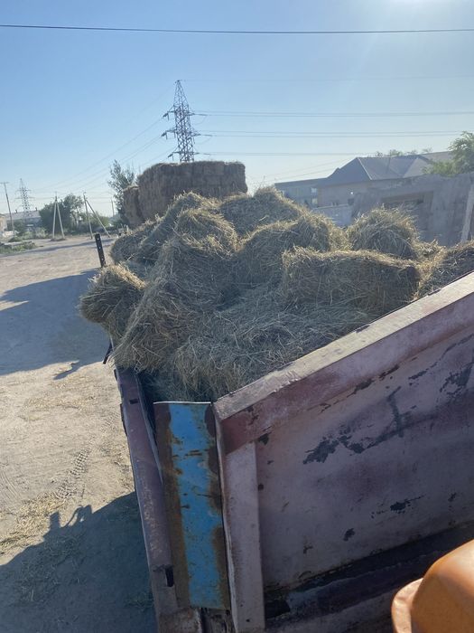 Тюки сено шоп шөп житняк