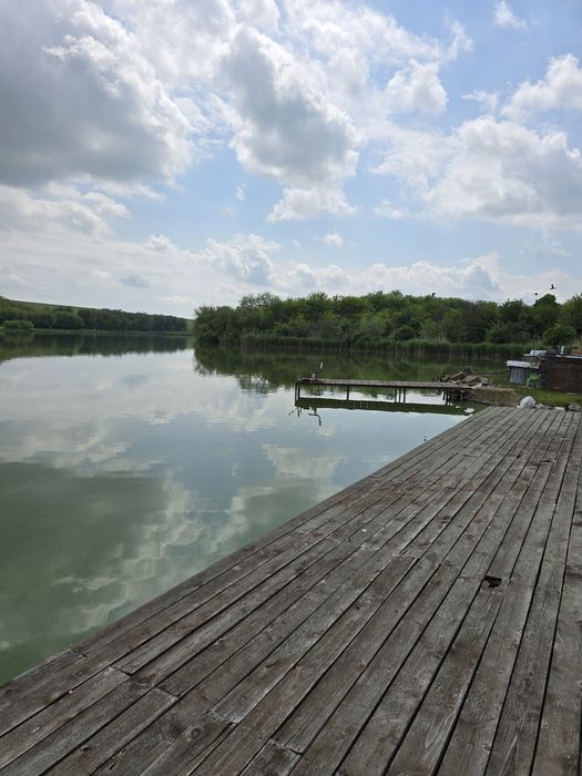 Vand casa la balta si 5000 metri patrati cu livada de 110 nuci