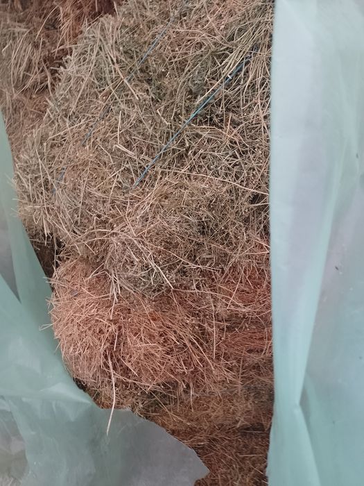 Baloti de Lucernā mazare si fin amestec Lucernanā