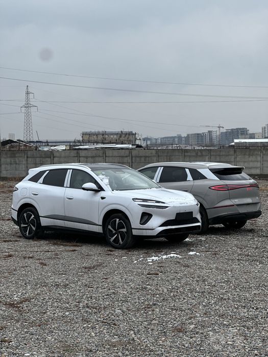 Byd Sealion 06 2026