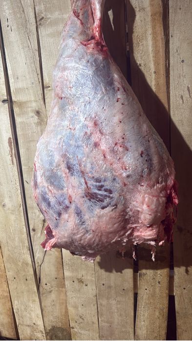 Жас малдың Семіз аппақ еттері бар