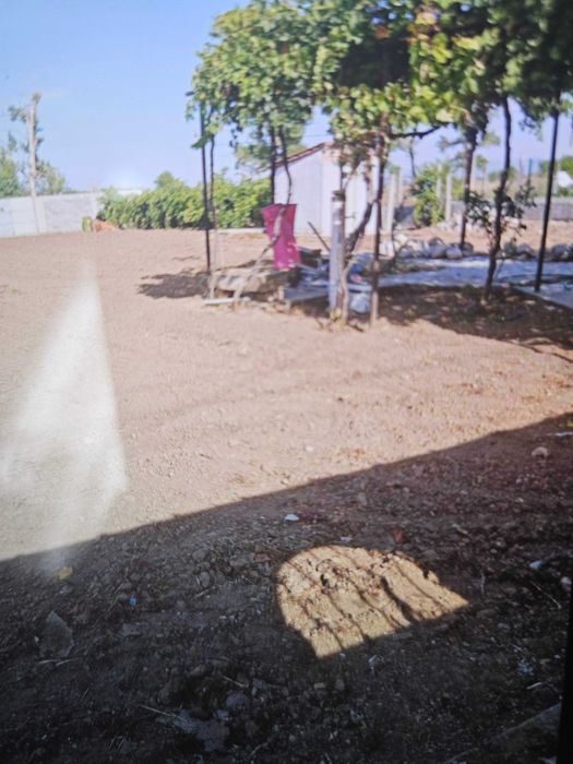 Продава се Парцел в с. Моминско, Област Пловдив - 1200 кв.м за 32 €/кв.м - Снимка #5