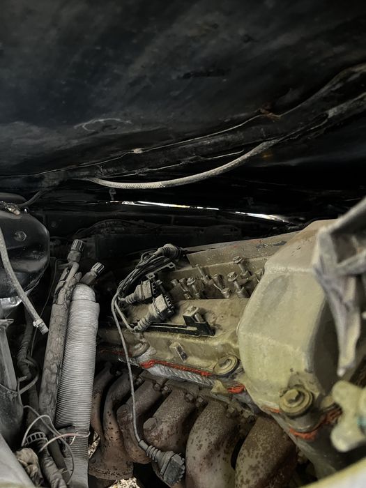 Целиком на донора или разбор