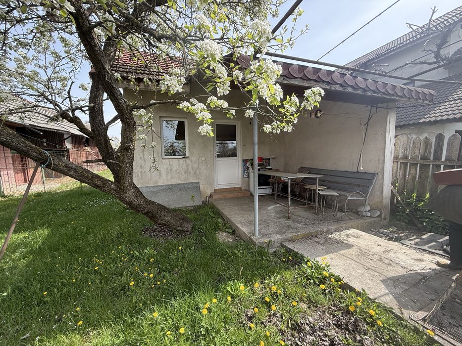 Casă de vânzare în Frâncești, județul Gorj – 3.409 mp teren