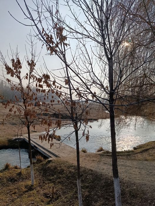 Продам участок с озером