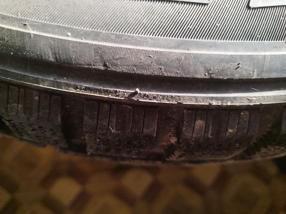 Шины зимние Triangle