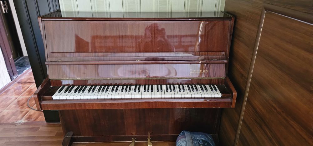 Sro'chna prodayotsya pianino elegiya otlichno sostayaniya
