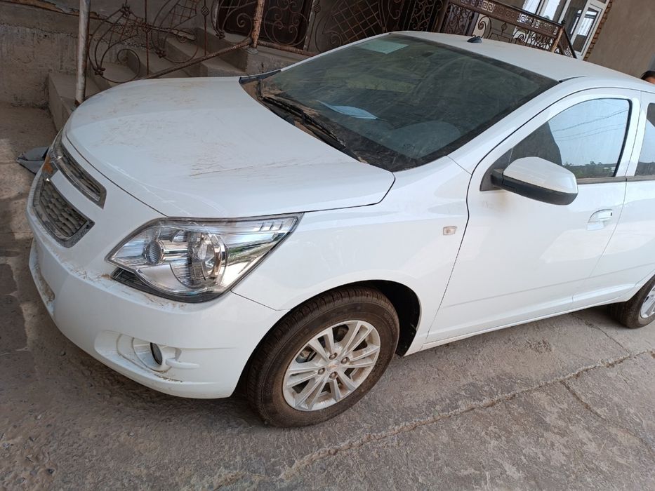 Cobilt 2024 bezprobek