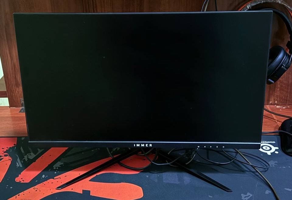 Monitor immer 22"