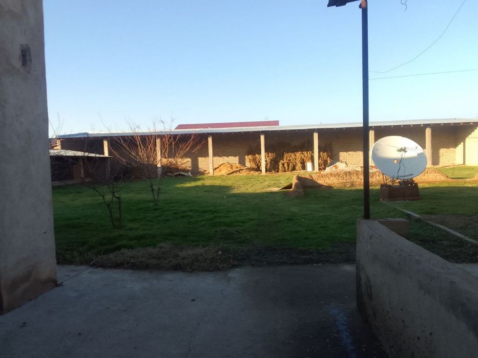 Xovli yer srochna sotiladi!!!