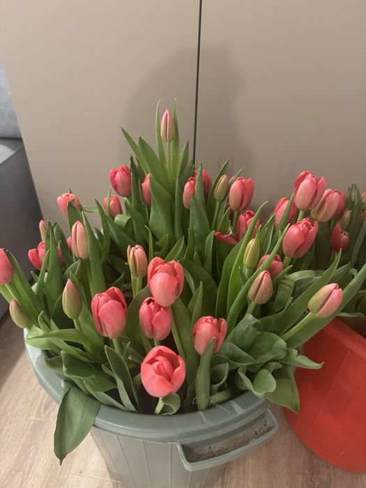 Продаем букеты голандских тюльпанов
