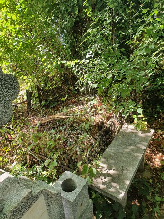 Concesionez Loc De Veci Central Cimitirul Bellu