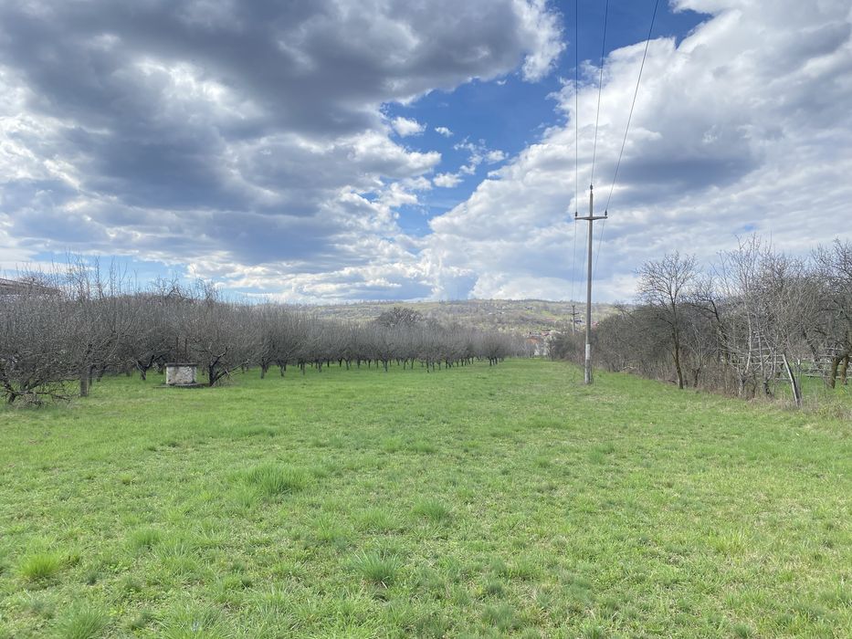 Teren intravilan ( 7000 mp )