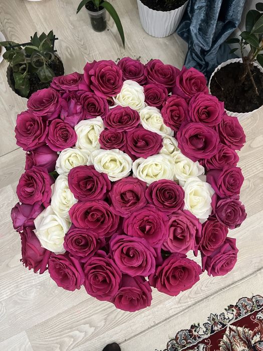 свежие цветы красивые