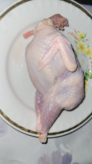 Бедана гушти бор кг 80 000 сумдан