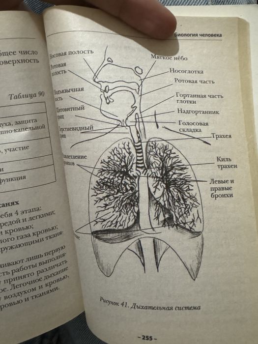 Краткий справочник по биологии в себе содержит все классы биологии