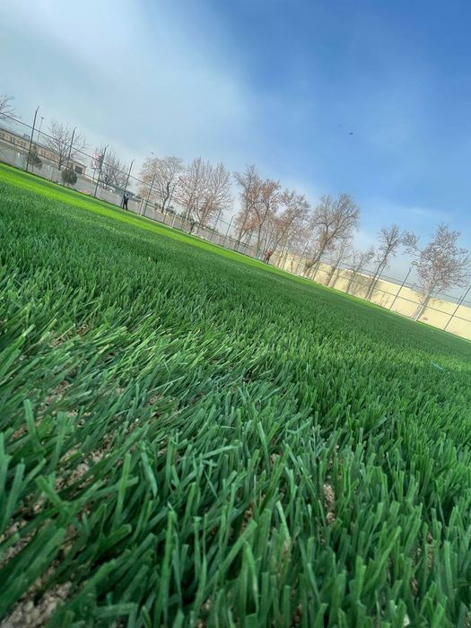 Suniy gazon chim eco zabor