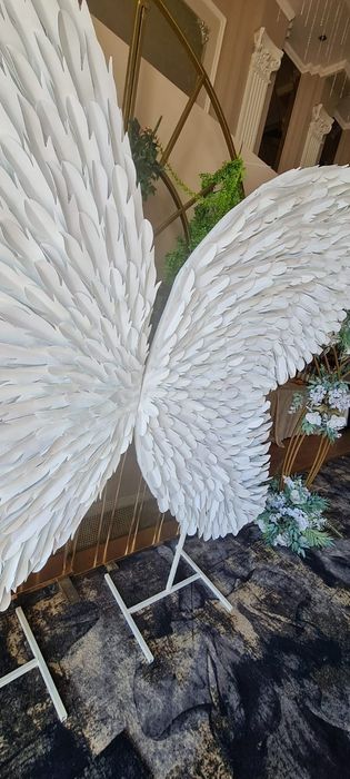 Aripi Inger Gigant pe comanda_PhotoCorner