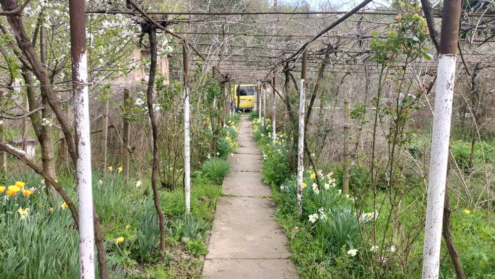 Продава се Къща в с. Селановци, Област Враца - 100 кв.м за 350 €/кв.м - Снимка #2