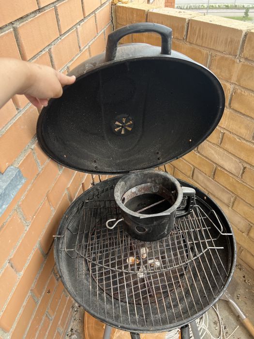 Продам монгалы