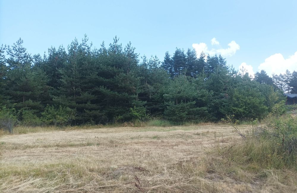 Продава се Парцел в Батак - 1993 кв.м за 21 €/кв.м - Снимка #2