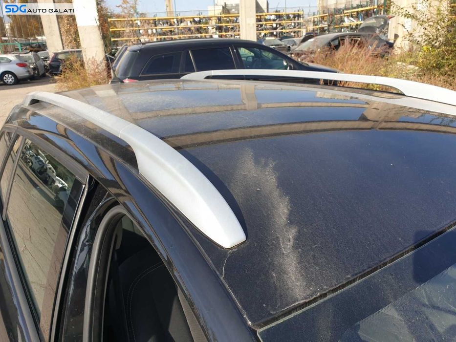 Plafon Tavan Caroserie Tabla Renault Megane 3 Grandtour Break Combi 2008 - 2015 Culoare TEGNE