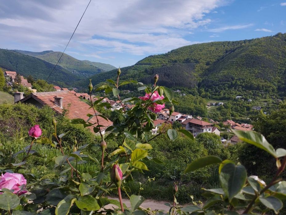 Продава се Къща в Своге - 80 кв.м за 638 €/кв.м - Снимка #8