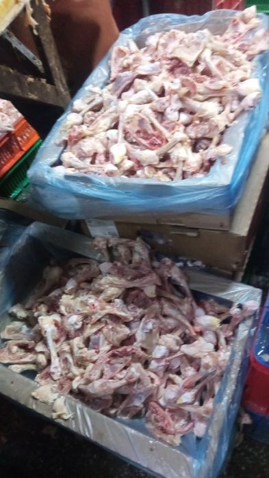 Корм для собак свежий