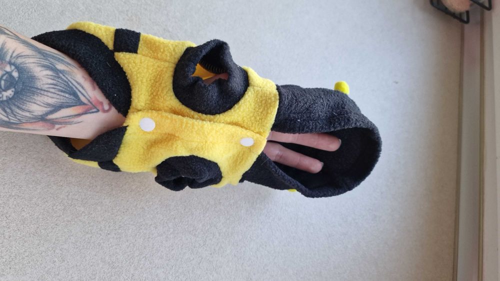 Дрехите за котки и малки куче