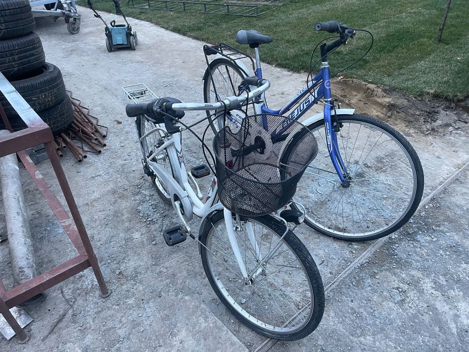 Biciclete de damă